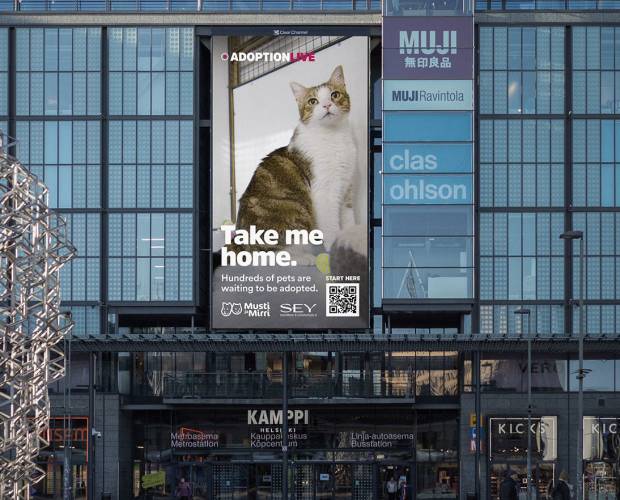 Musti Group launches live-streamed OOH campaign to find new homes for abandoned cats